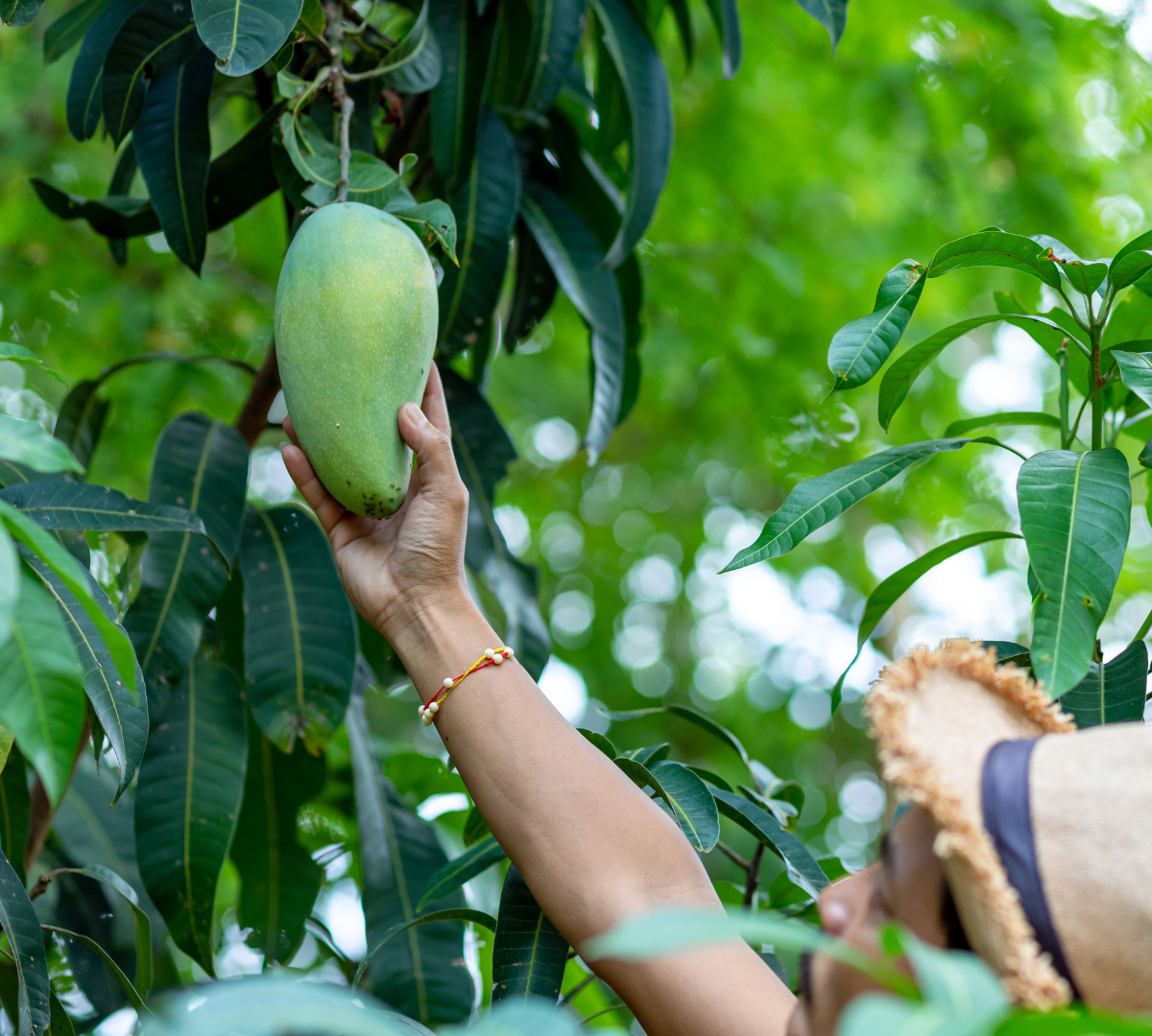 Untitled design (42)